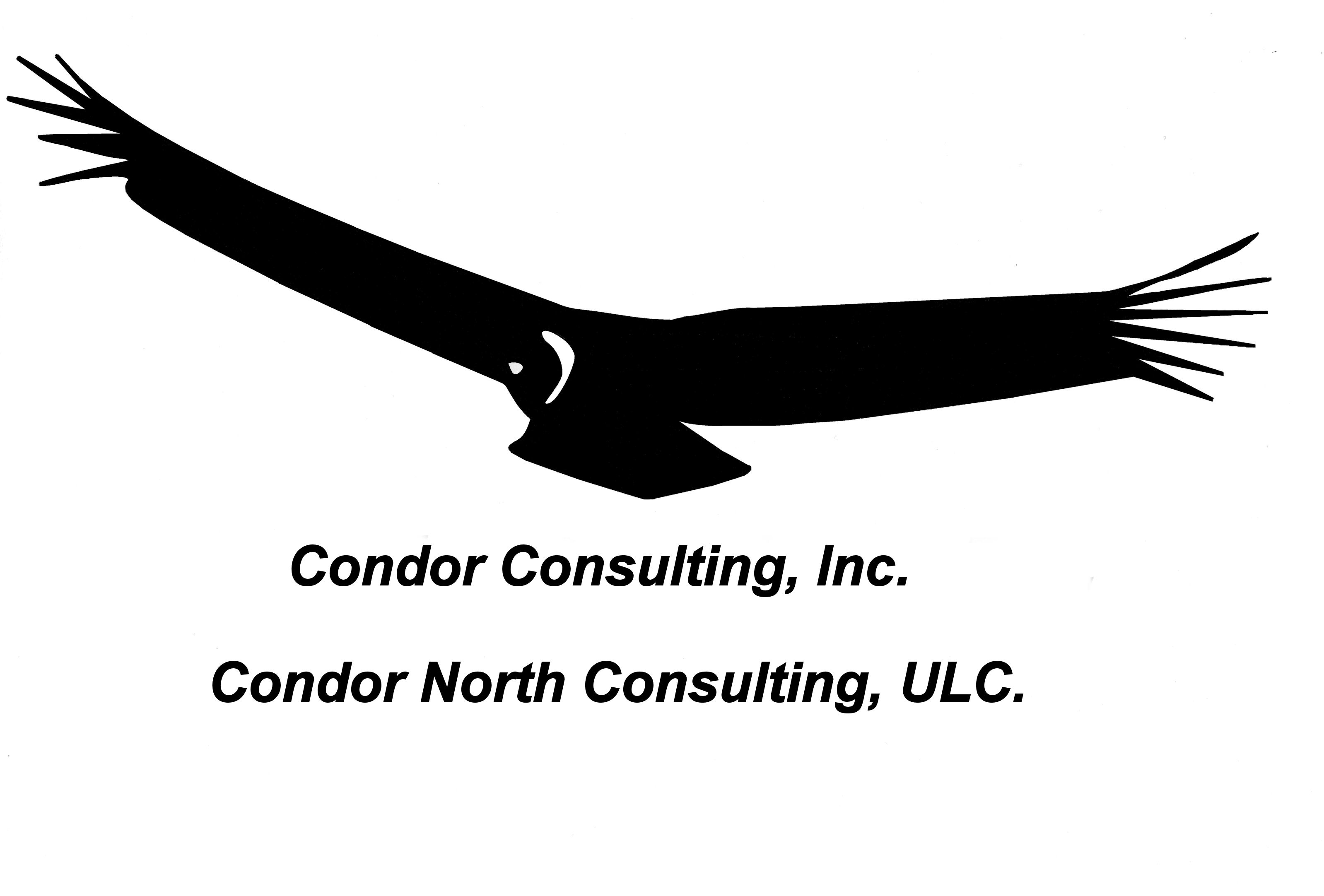 Condor & North Consulting